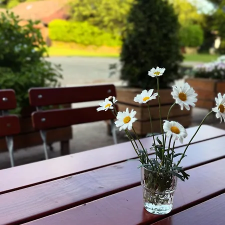 Boga's Im Schuetzenhof Huettenbusch 게스트하우스 워프스위드